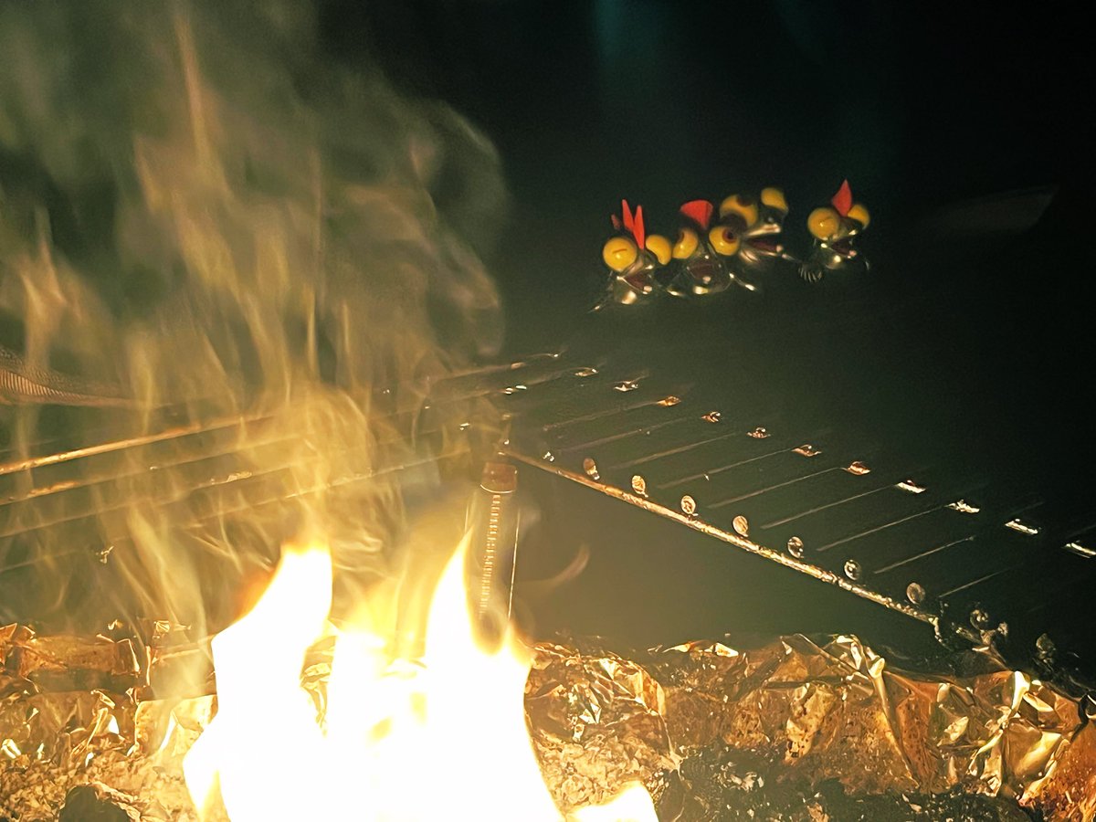 遅くなりましたが…

明けましておめでとうございます🎊

年末年始はバタバタしましたが
楽しい時間でした⌛️

コジャケ達とキャンプ🔥しました笑

スプラはホコが2000いったのが
嬉しかった😊

今年の初フェスは午年🐴なので
きたさん★ぶらっくぅの名で
参加します笑

よろしくお願いします〜✨