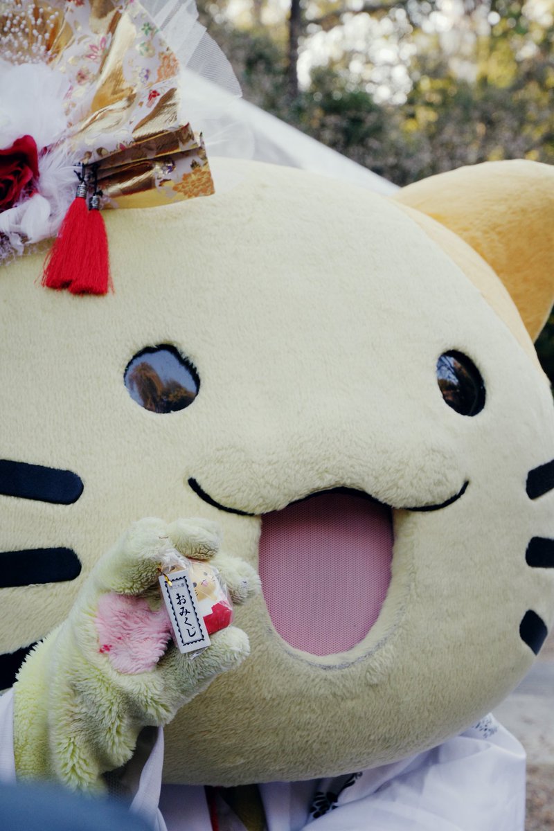 こんにちにゃんฅ ̳˃ ·̫ ❜⃘⃘ ̳♡˚✧ おみくじは、みんにゃ引いたか