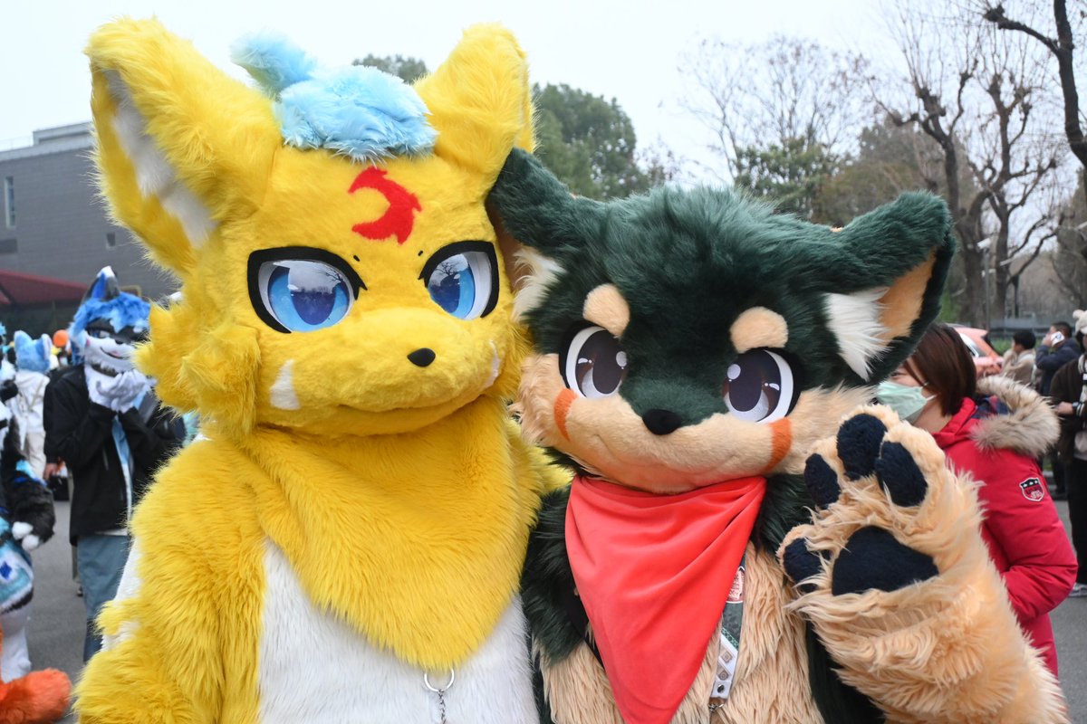 JingmiSnow the CatDragon 静谧之雪 tweet media