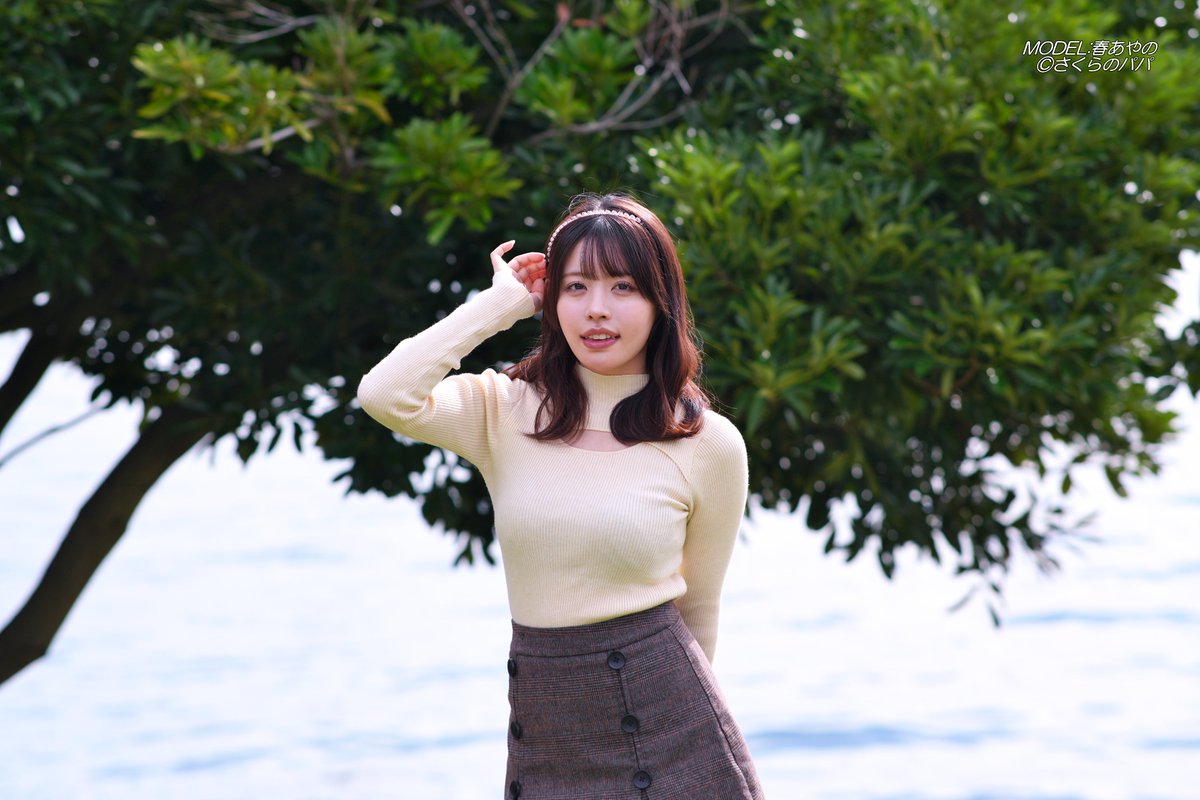 🇺🇦さくら🐇のパパ🇯🇵高配当株に移行中🇺🇦 (@K70_55) / Posts / X