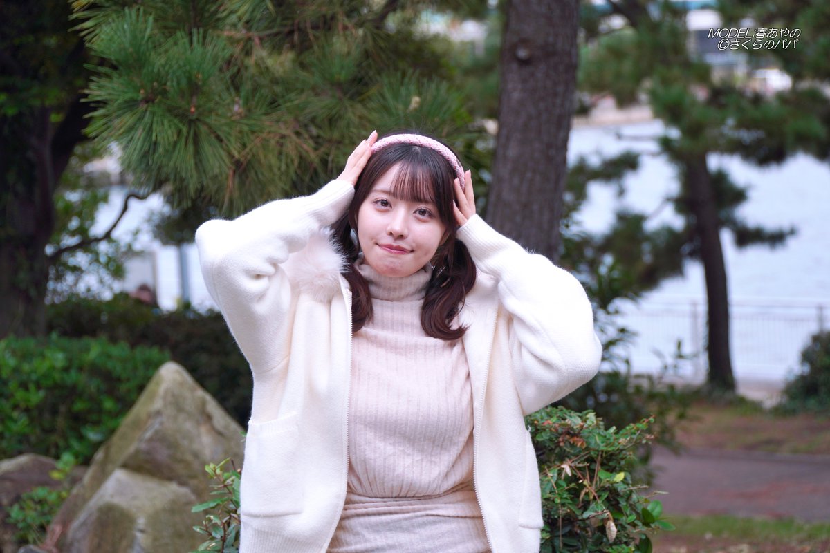 🇺🇦さくら🐇のパパ🇯🇵高配当株に移行中🇺🇦 (@K70_55) / Posts / X