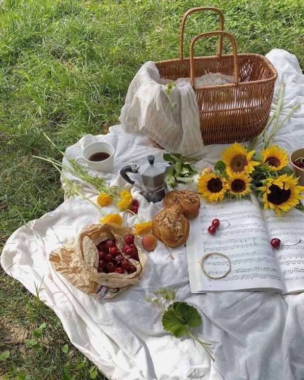 #제품제공 #노크 

두쫀쿠에 들어가는 피스타치오 스프레드가 너무 비싸서 몸에 피스타치오를 뿌리기로 했어요 

• 노크 멜트 인 바디토너 피스타치오 

제일 중요한 향은 제가 생각했을 때!! 
봄에 노들섬가서 아무생각 없이 누워있을 때를 상상하면 이 향인듯 .. 

샤워 후 발랐는데 
싱그러움 ->