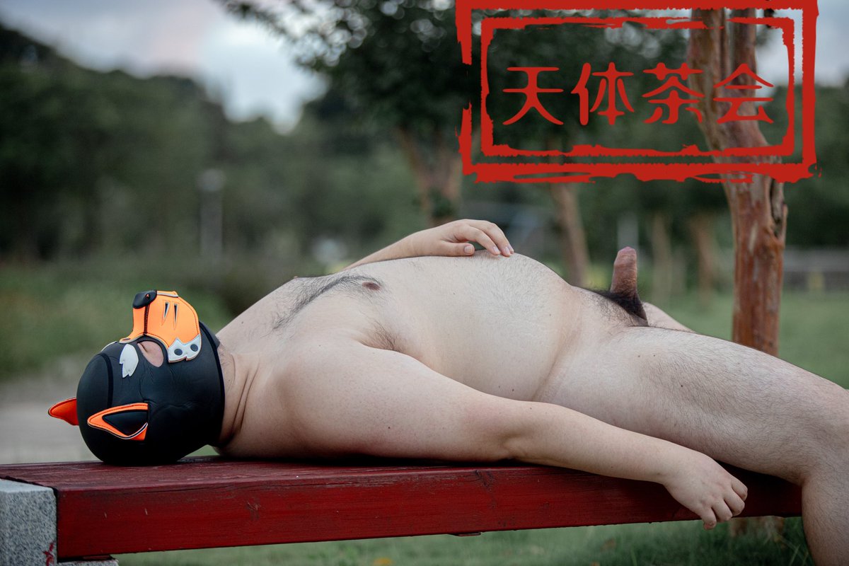 天体茶会 tweet media