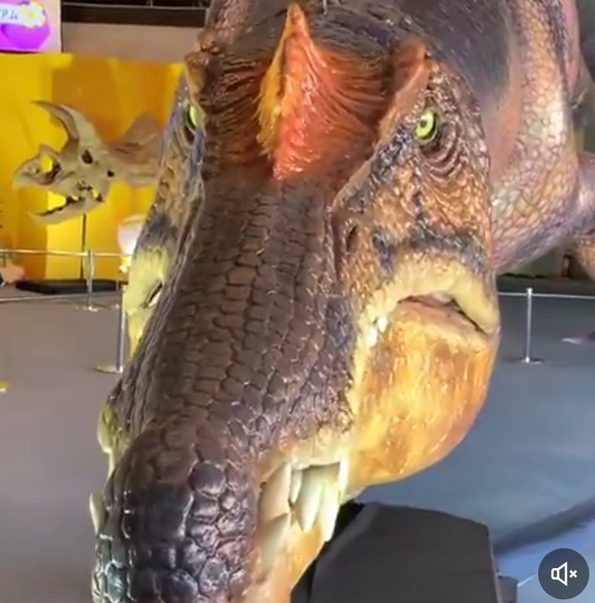 Prince_Note_1's tweet image. How @TDbyaza98587 be lookin at me when i mention crude oil