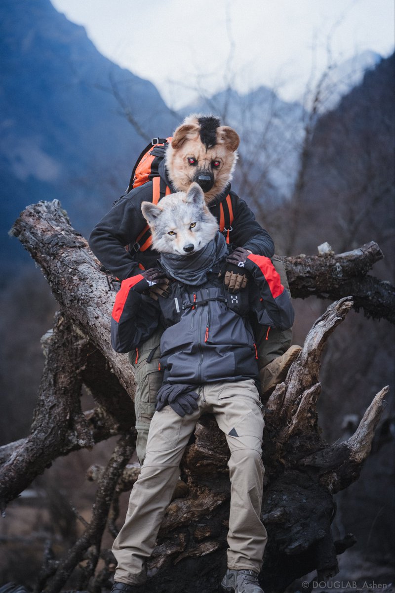 DOUGLAB_Ashen's tweet image. #FursuitFriday
#DOUGLAB

Hyena:@Wuzheng9527 
📸：@TheCIPF