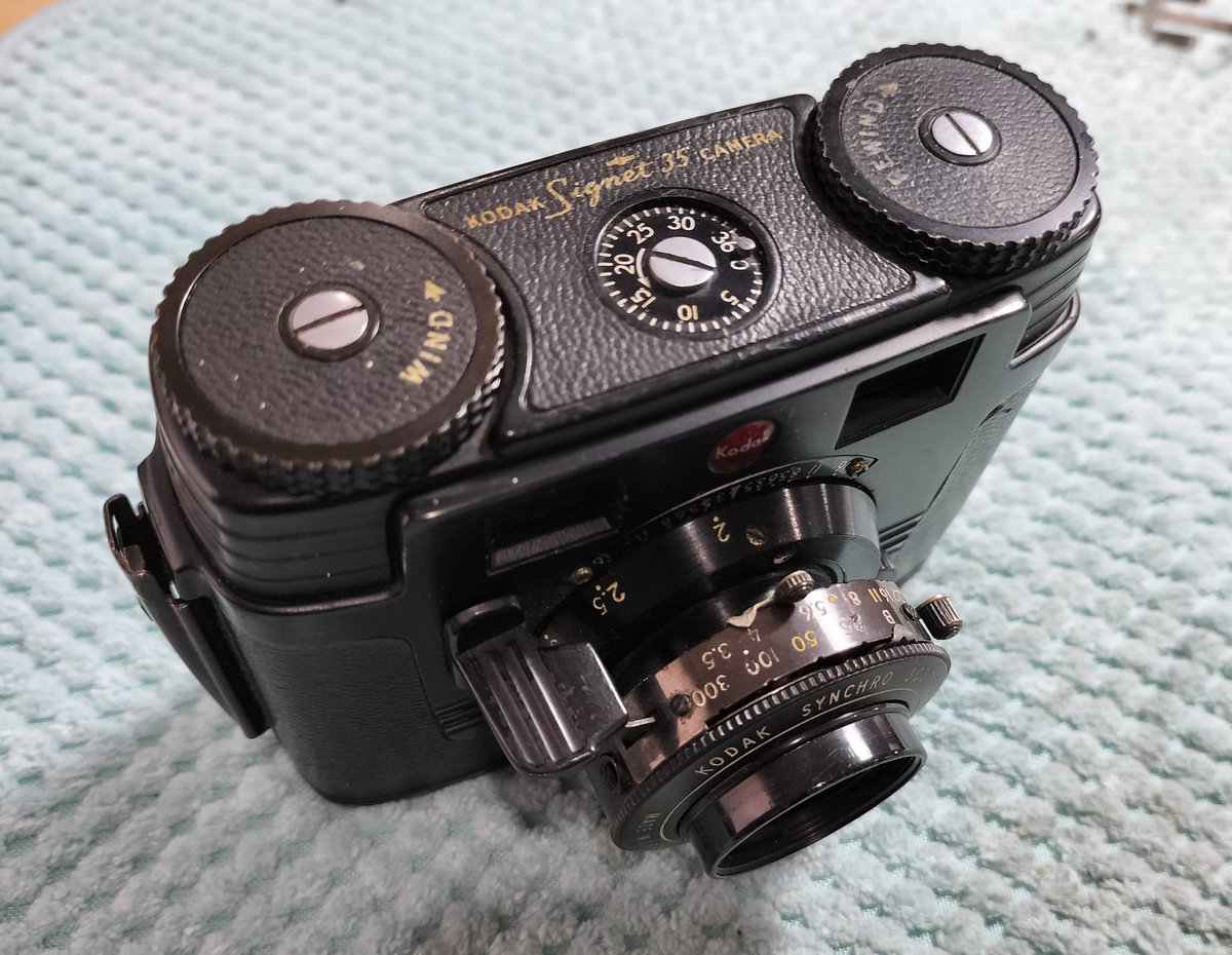 コダック シグネット35 ミッキーマウスに似てるで有名 黒い個体を