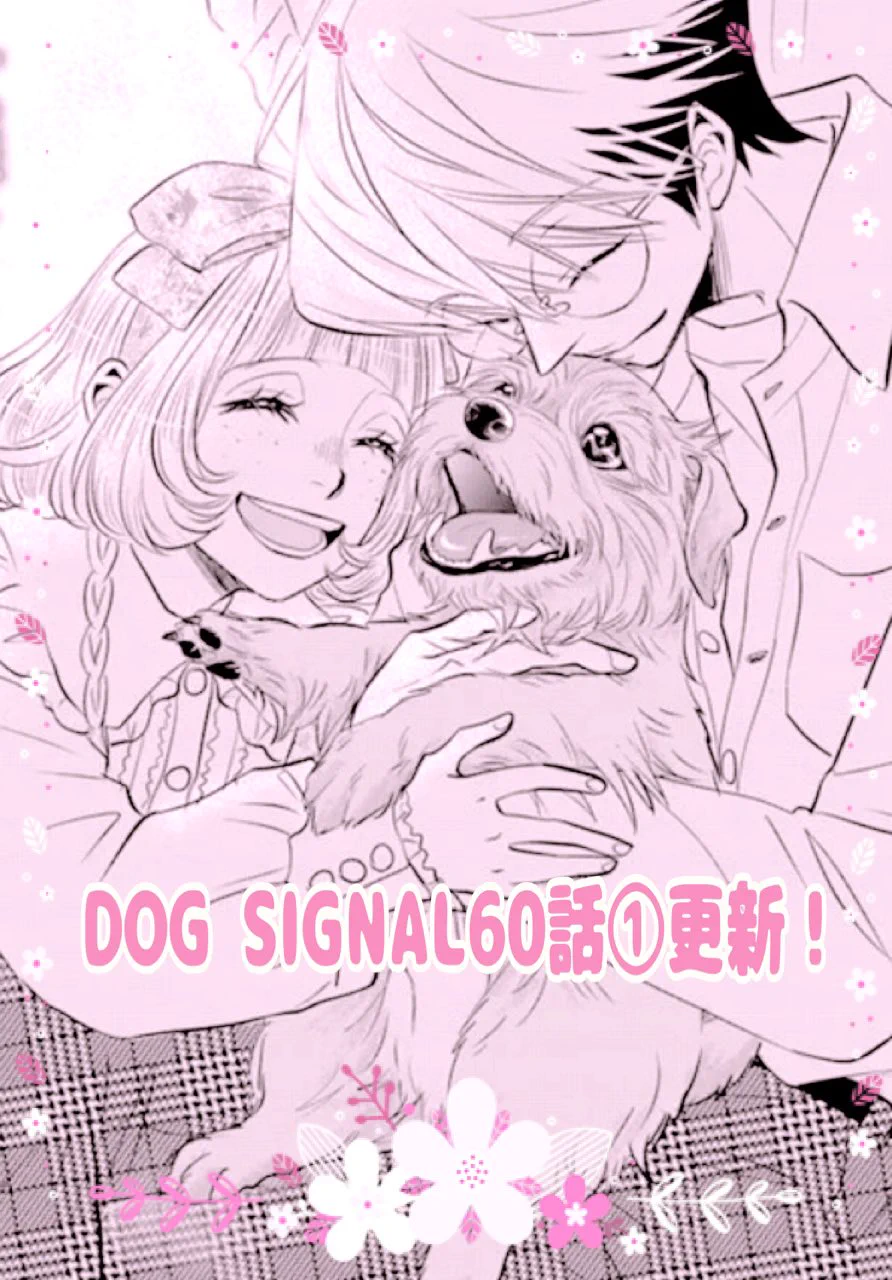 DOG SIGNAL（ドッグシグナル）【公式】 (@DogSignal) / X
