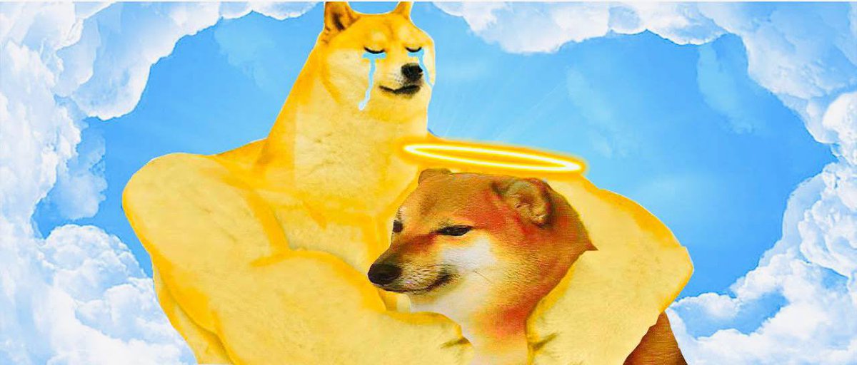 OGCheemsX's tweet image. me and my bro domge