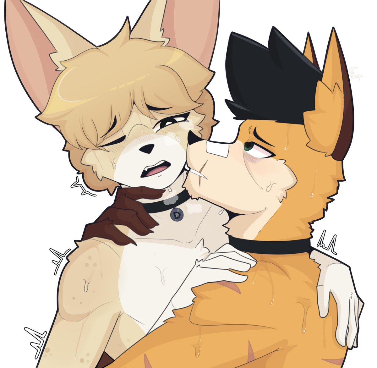 DanielScott🧡🇲🇽 tweet media