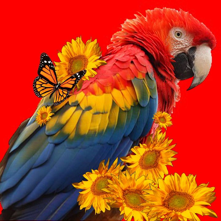 sharlesart's tweet photo. Art of the Day! "RED MACAW &amp; SUNFLOWERS". Buy at: https://t.co/lTiR9CBlX7 https://t.co/jZx3mKlBO9