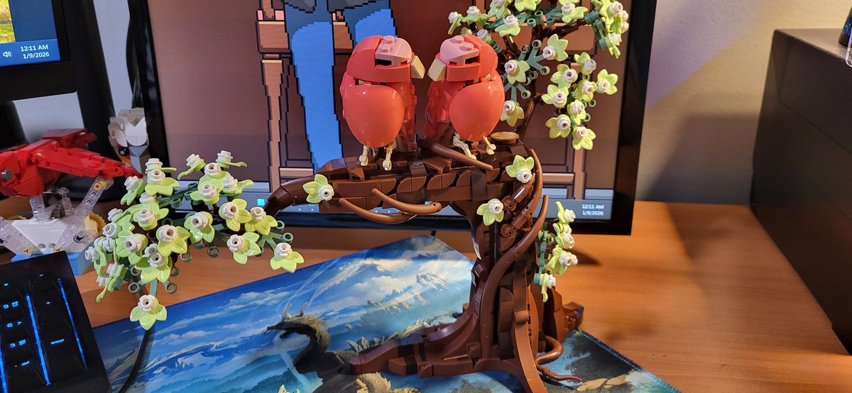 Rex, International Poster of Birds🐦🦅🦉🦤 tweet media