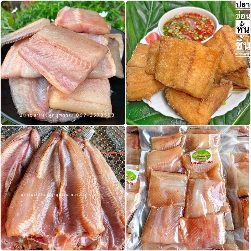 PLOY1985_'s tweet image. ลองดู ปลาช่อนแดดเดียว หั่นชิ้นแล่ก้าง 8-10 ชิ้น 500 กรัม ในราคา ฿170 - ฿340 ที่ Shopee s.shopee.co.th/9pXvG2uDdy?sha…
