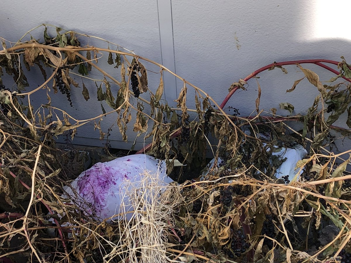 豪邸に住みたい