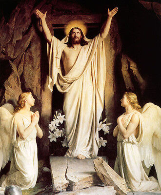 KnowsPascal's tweet image. If Thy goodness were not infinite, I would despair of pardon. But I have to deal with a God who has died for my salvation. Thou commandest me to hope, and I will hope. If my sins terrify and condemn me, Thy merits and Thy promise encourage me.

-St. Alphonsus