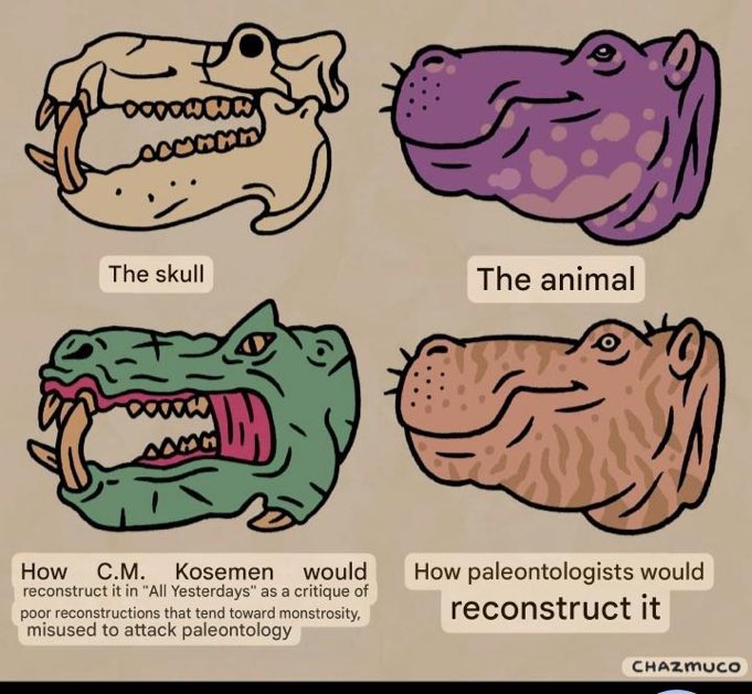 Anrandomtapir's tweet image. 