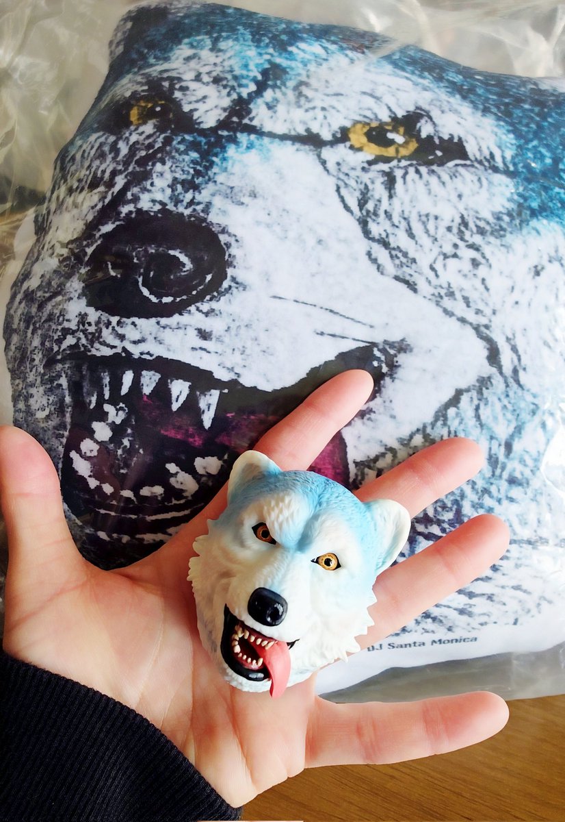 Number8Team0's tweet image. 私は一個も買えなかった😂
けど！友達が当ててくれた✨🐺💚
フェイスマグネットめっちゃクオリティー高い😆