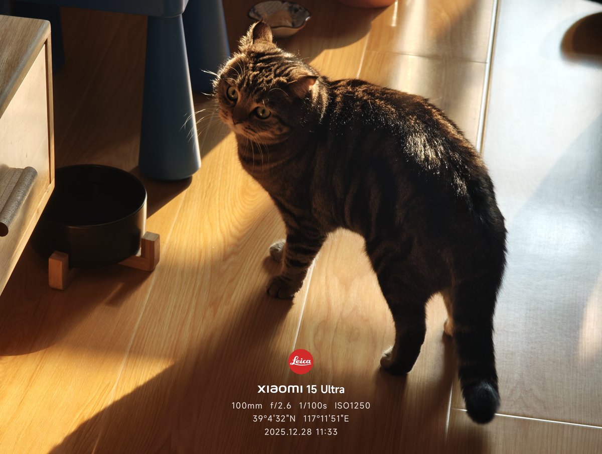 ℳℯ𝓉ℯℴ𝓇 (@meteors_1999) on Twitter photo 