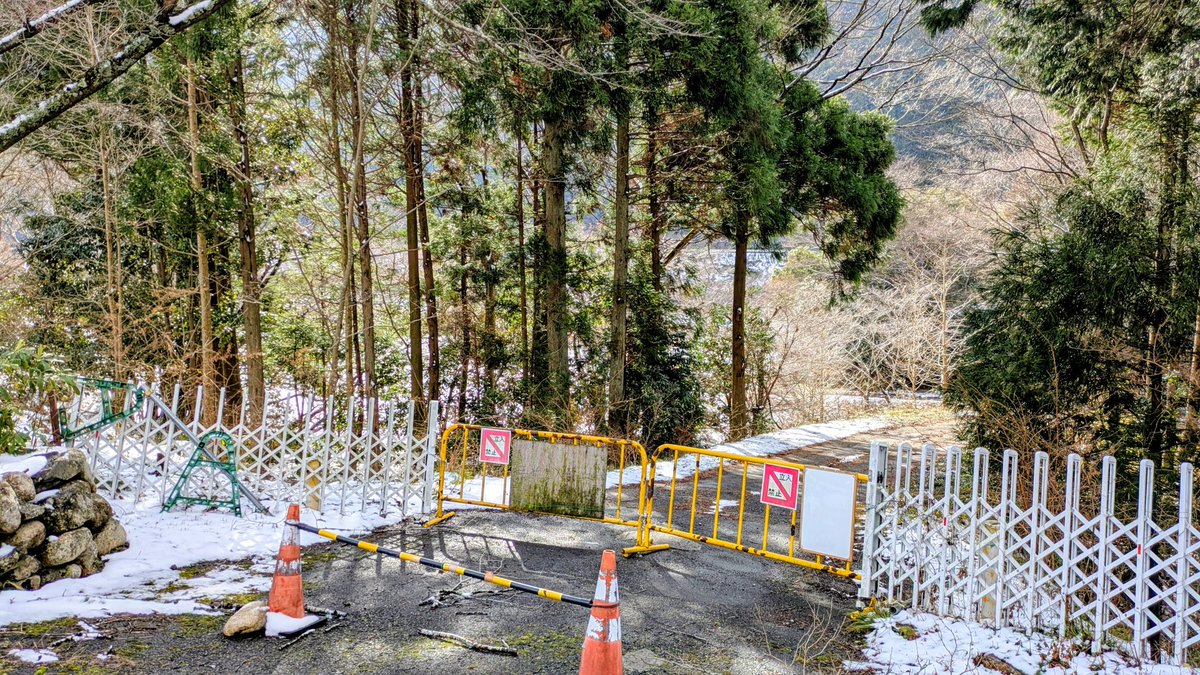 てべりん tweet media