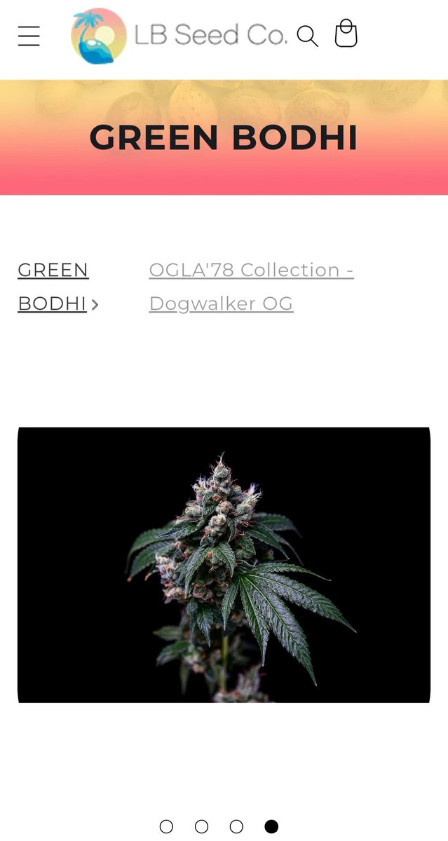 SanctuarySeedbank tweet media