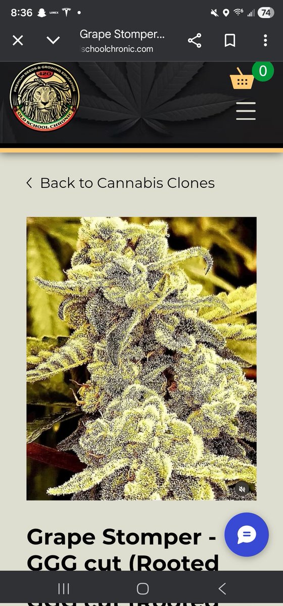SanctuarySeedbank tweet media