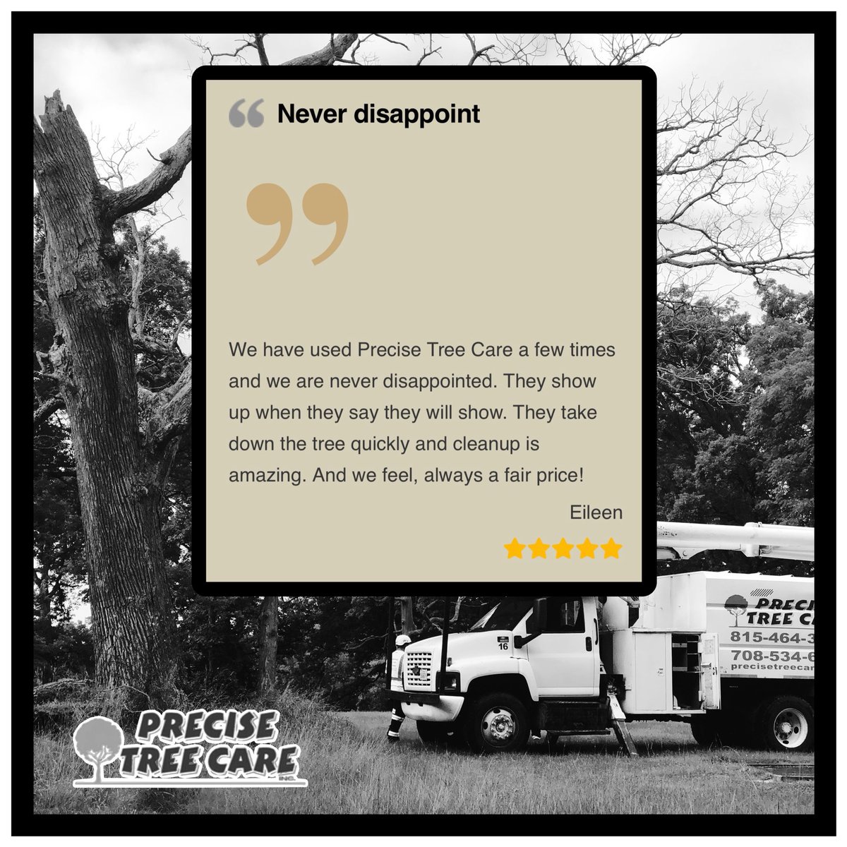 PreciseTreeCare's tweet image. We are incredibly grateful for customers like Eileen. Hearing that our team shows up, works safely, and leaves properties clean means everything to us. Thank you for trusting Precise Tree Care with your trees.