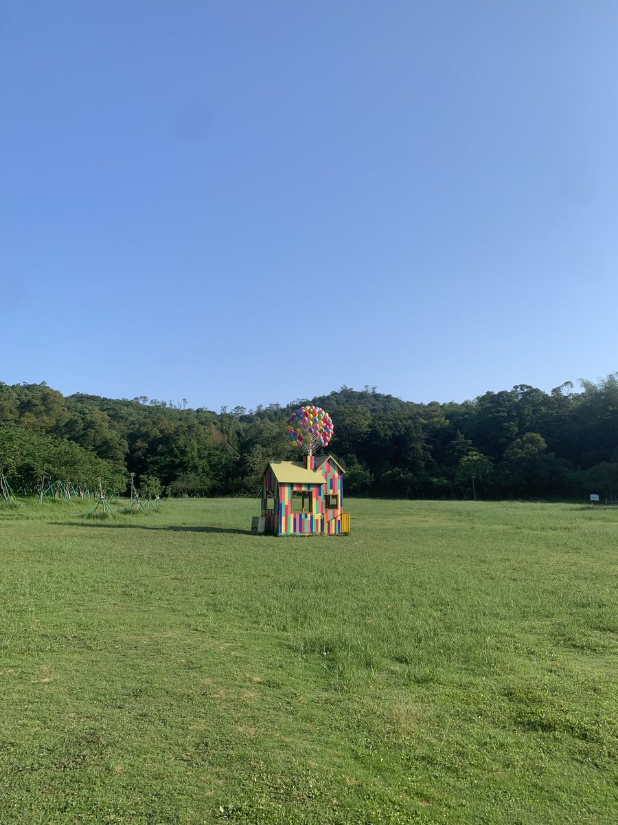 楠楠不觉 tweet media