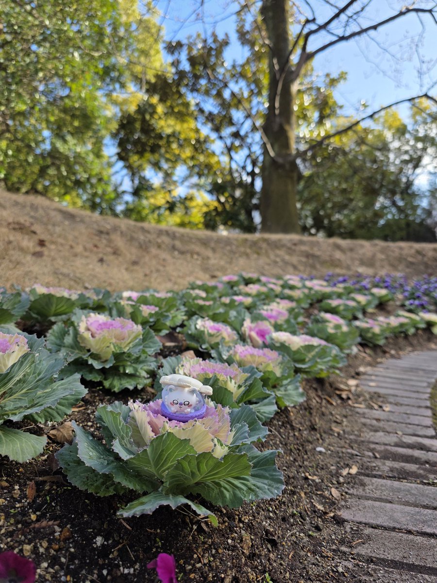 Took this photo for my sis while I was in JP