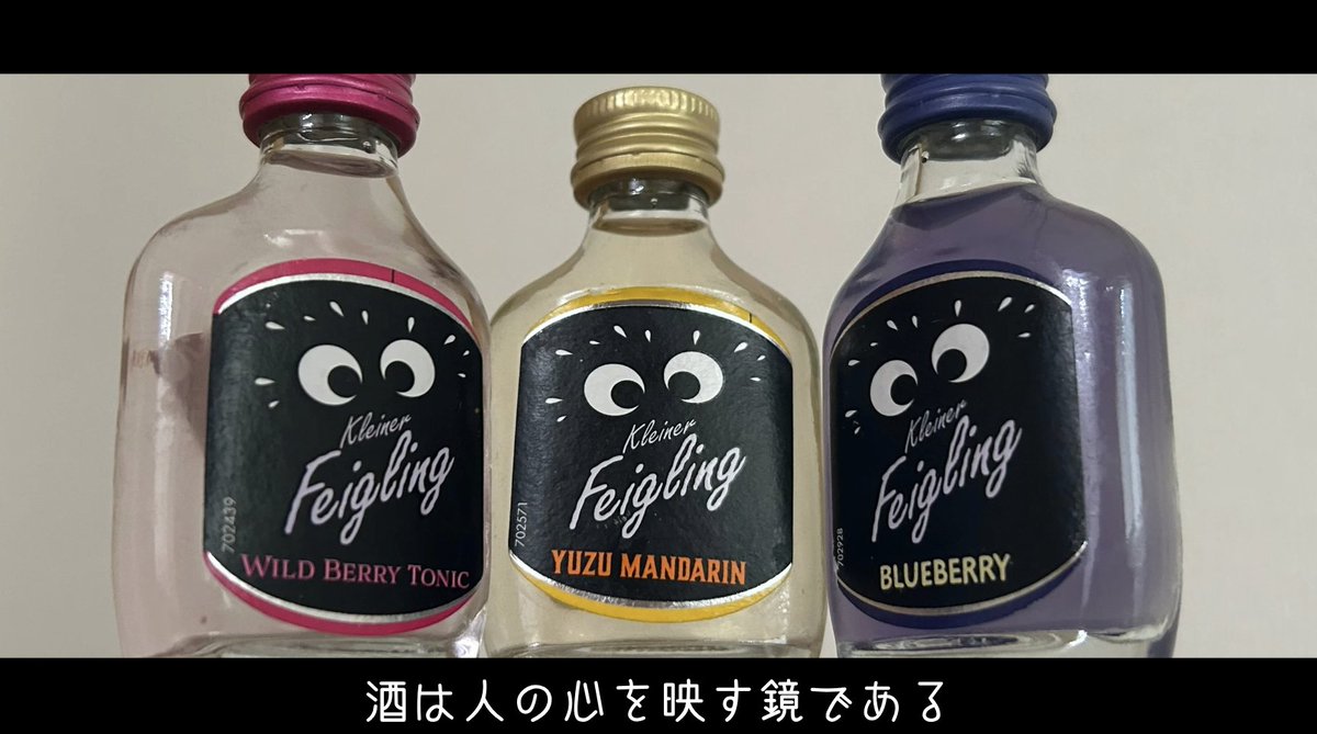 クライナーファイグリング【公式】 (@KleinerJp) / Posts / X