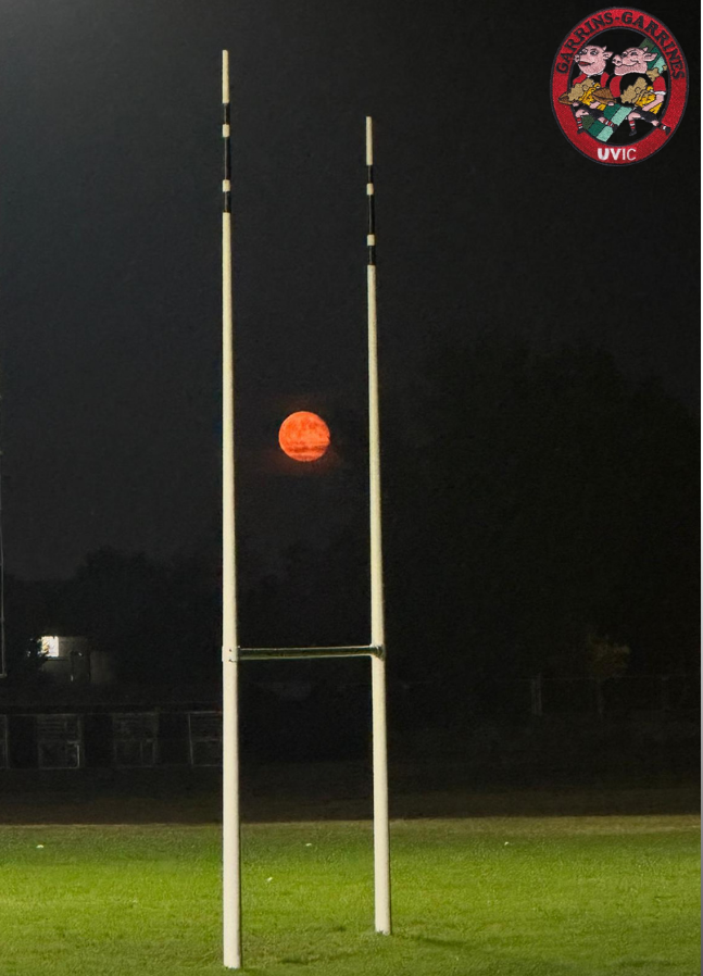 1/7 Els pals del rugby

En els primers temps del football jugat a la Rugby School, el camp no era un espai regularitzat. No hi havia línies fixes ni pals estàndard: el joc es desenvolupava en un terreny obert, canviant i ple d’elements que avui ens semblarien impensables. Les