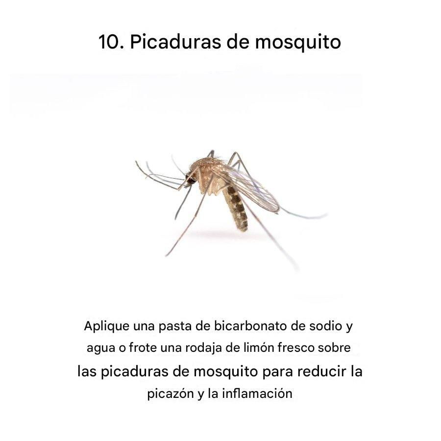 10. 蚊虫叮咬无法停止抓挠？ 这里有一个有效的解决方案： • 涂抹小苏打和水的糊状物• 或擦一片柠檬两者都能减少瘙痒和肿胀。而且柠檬可以驱除未来的叮咬 。, image size:900x900