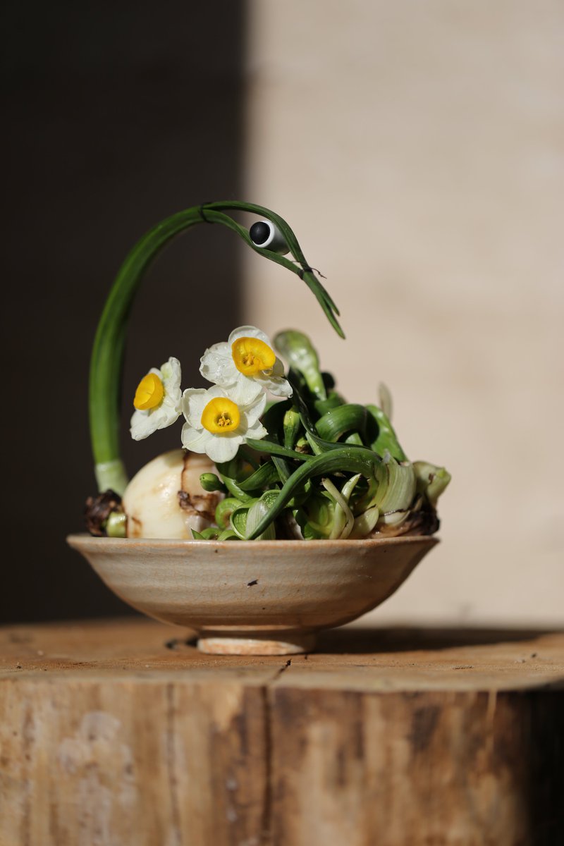 在山林 tweet media