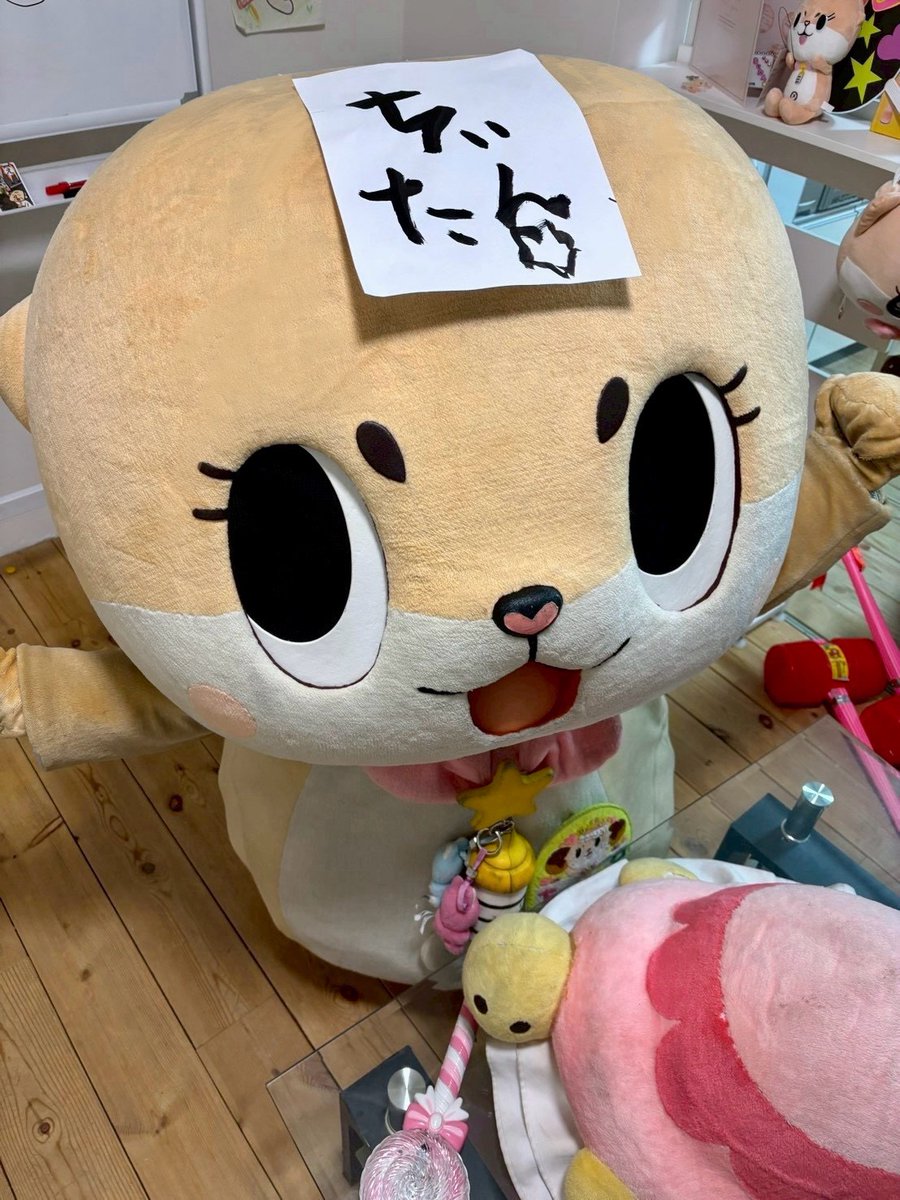 公式：ちぃたん☆大阪 (@Chiitan_Osaka) / Posts / X