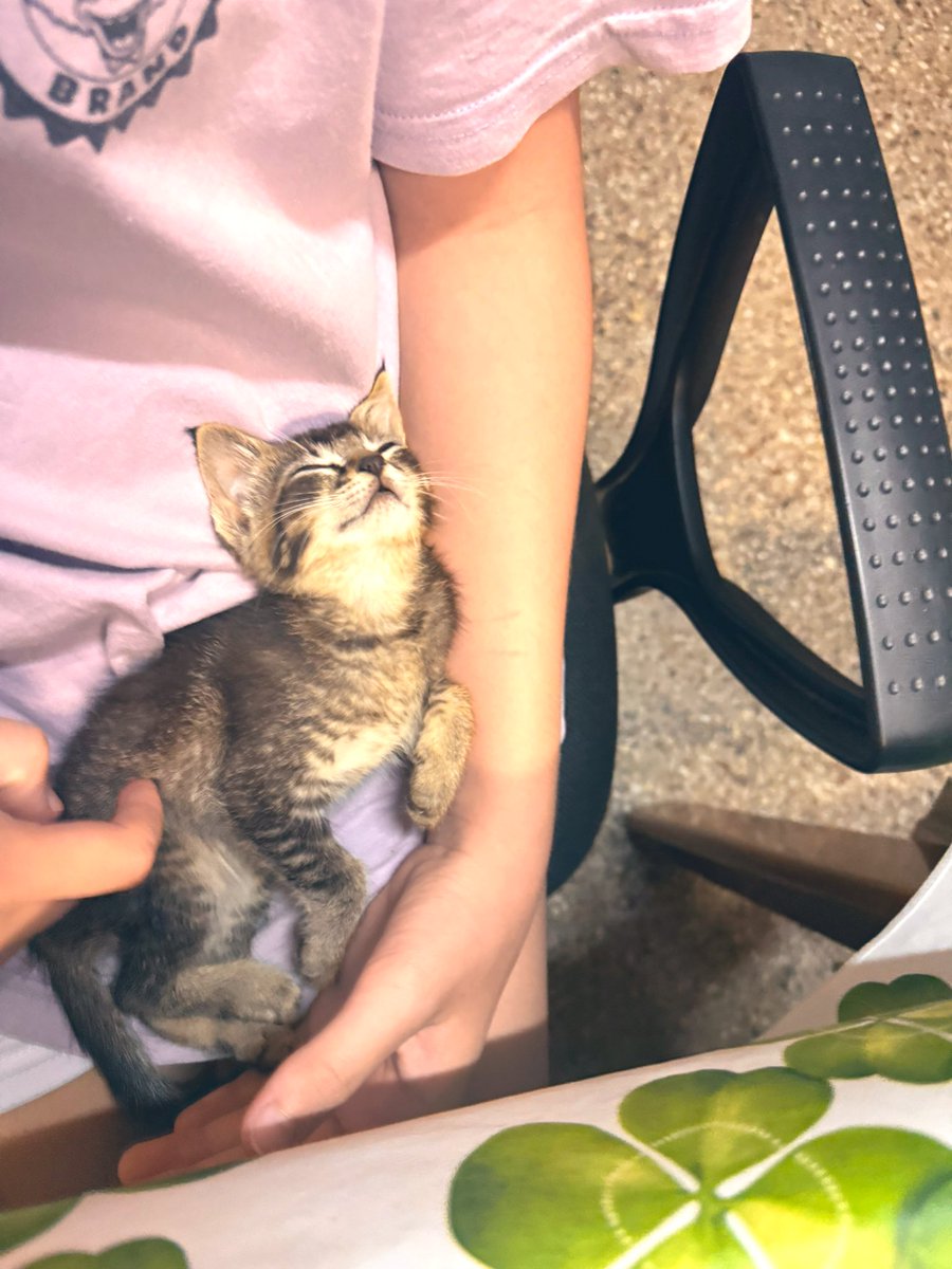 nuevo integrante 🫶🏻💞