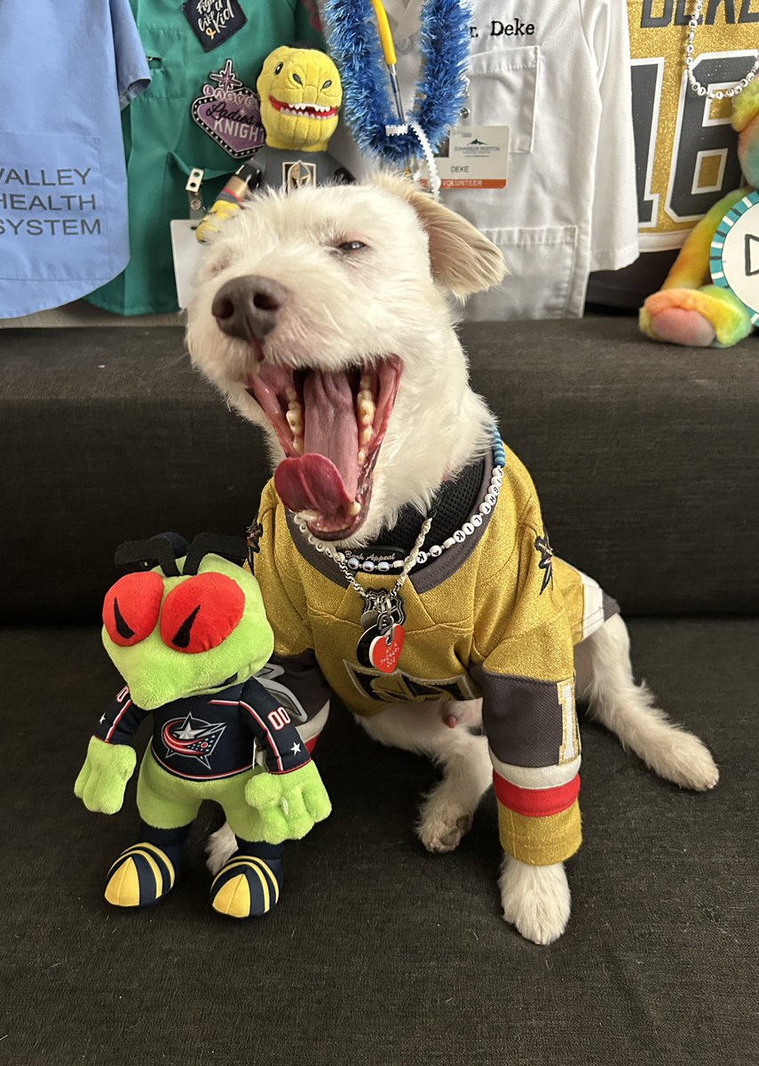 DekeHenriFurry's tweet photo. WINNER!
@BlueJacketsNHL 3
@GoldenKnights 5
~ Dekeš¾
#GoKnightsGo
#VegasBornĀ Ā Ā Ā Ā Ā Ā Ā Ā Ā
#CBJvsVGK
#VictorySausage https://t.co/9TVyq80Ui4
