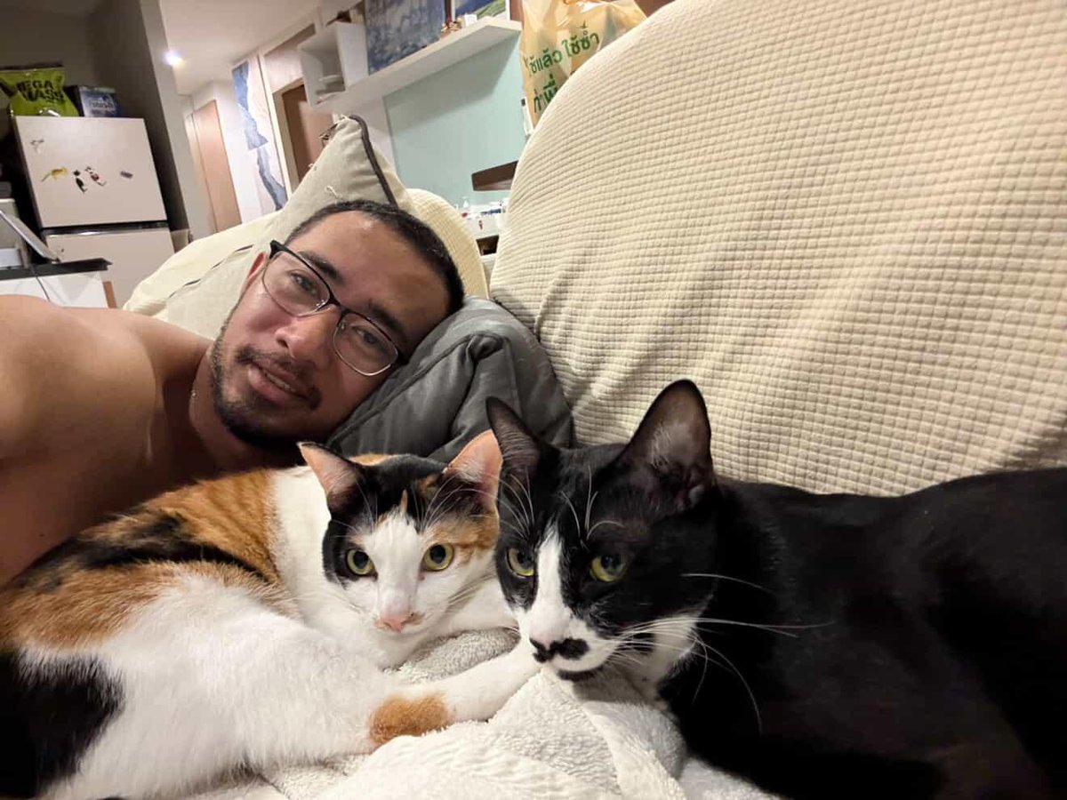 เหลือแต่แมว และ รอยยิ้ม