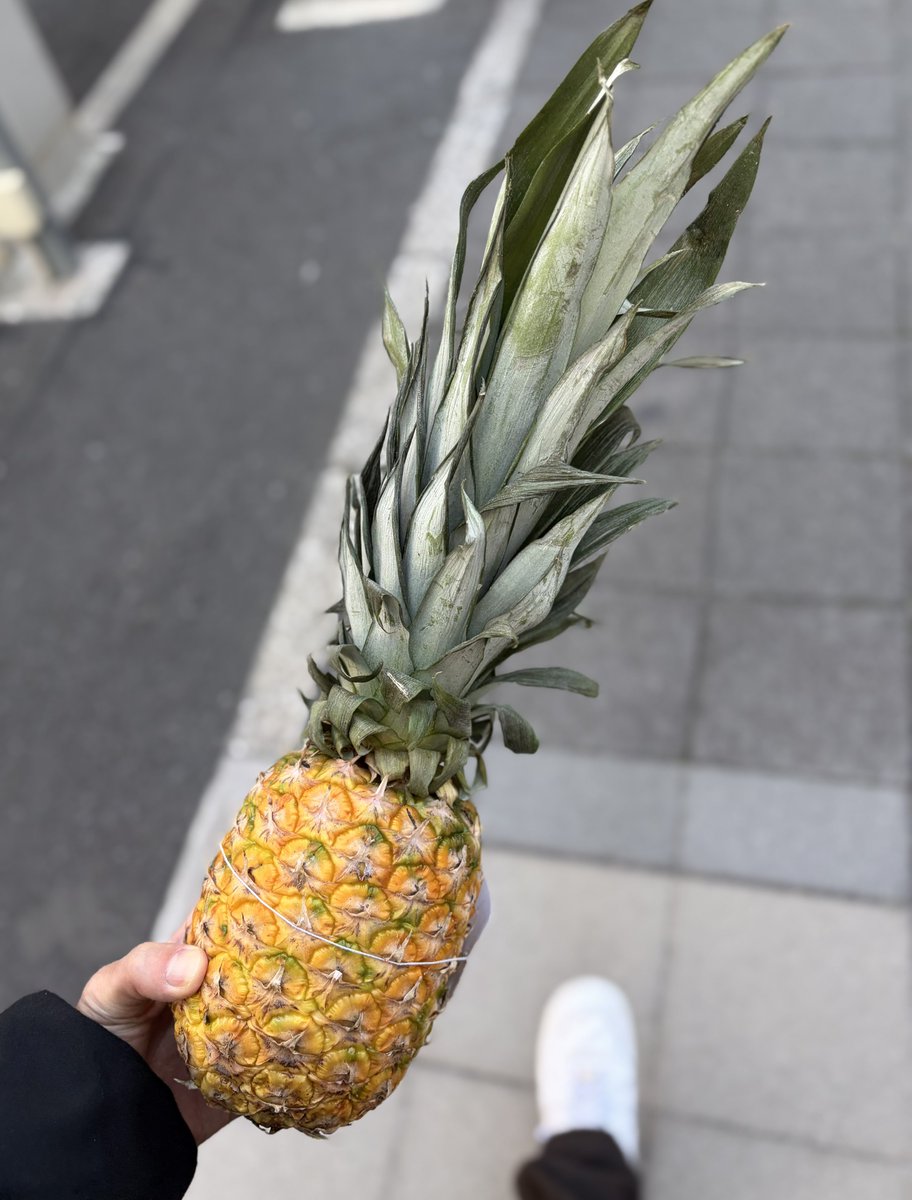 もうこれで 終わってもいい