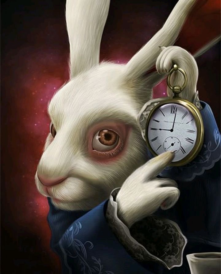 alexsinclair677's tweet photo. st🕰️❤️
i expect. https://t.co/uEt8Iq7O7l
