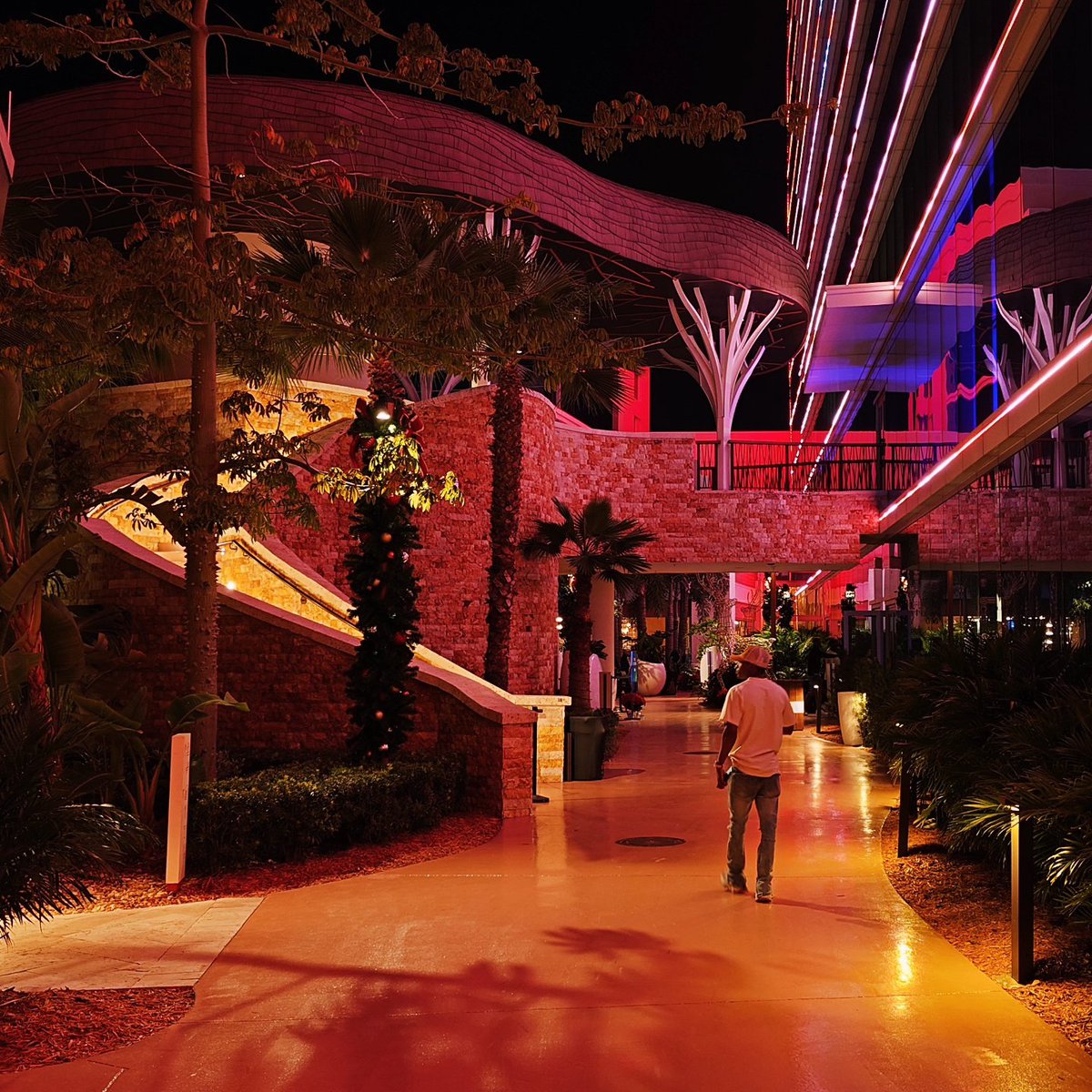 Sir3O3's tweet image. #miamilifestyle #christmasday #Florida