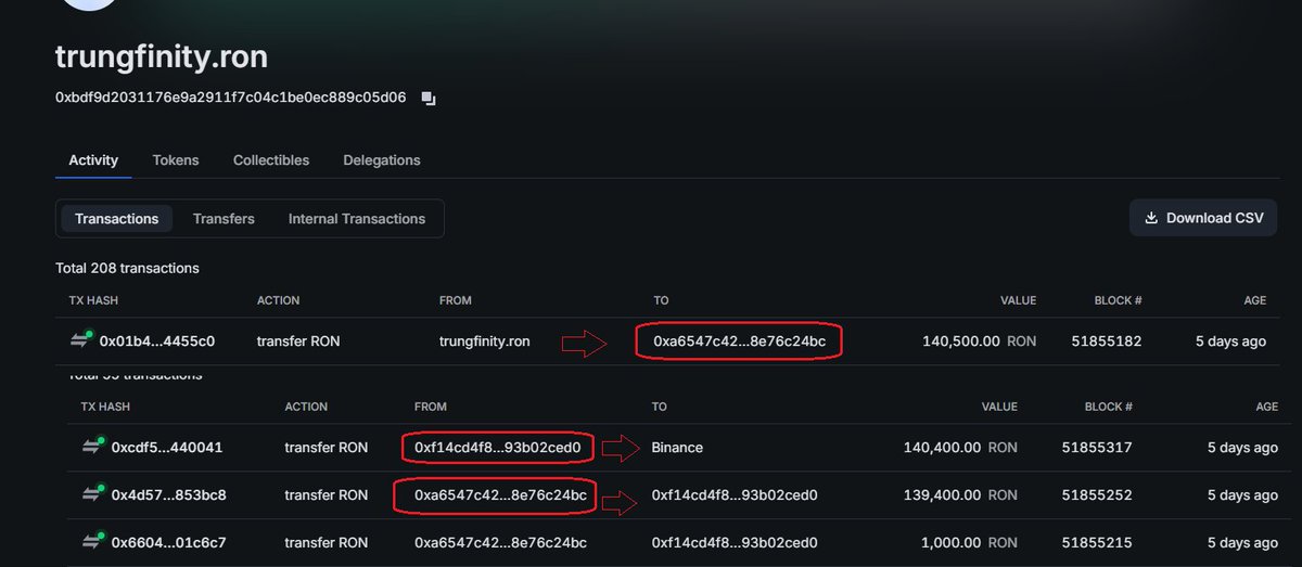 Tengri the Truth 🪸 𐰚𐰇𐰚:𐱅𐰭𐰼𐰃 tweet media