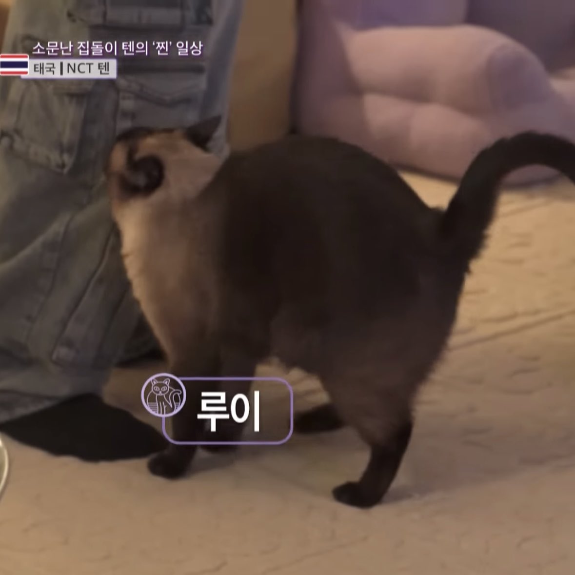 fondofbt's tweet image. ใส่ถุงเท้าดำเหมือนกันเลย 🐾