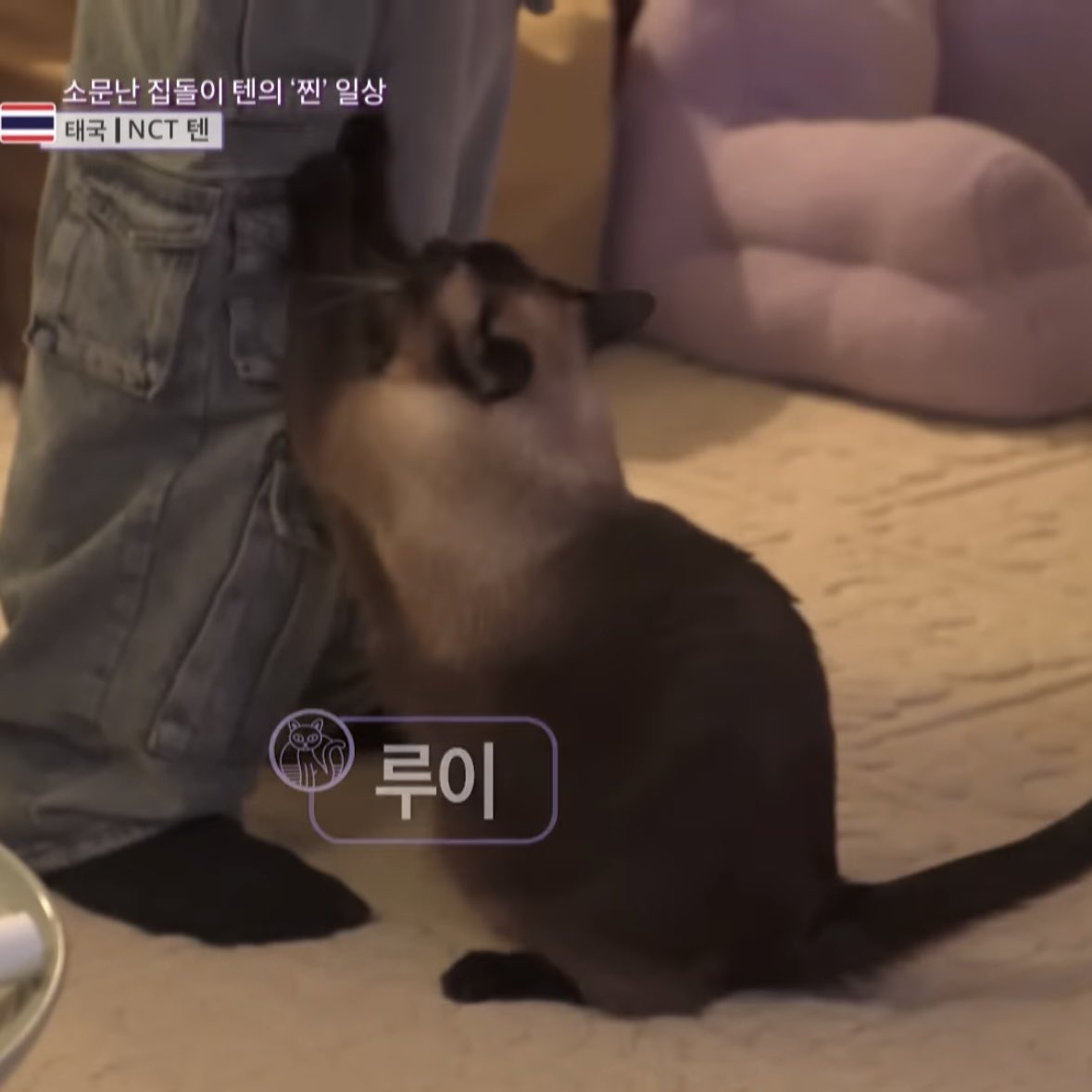 fondofbt's tweet image. ใส่ถุงเท้าดำเหมือนกันเลย 🐾