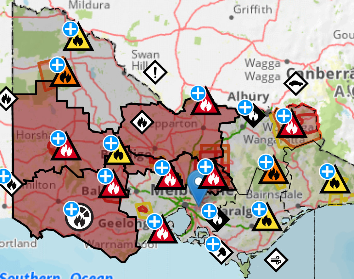 🍺🦁🏇 #Leighton_C 🏇🦁🍺 tweet media