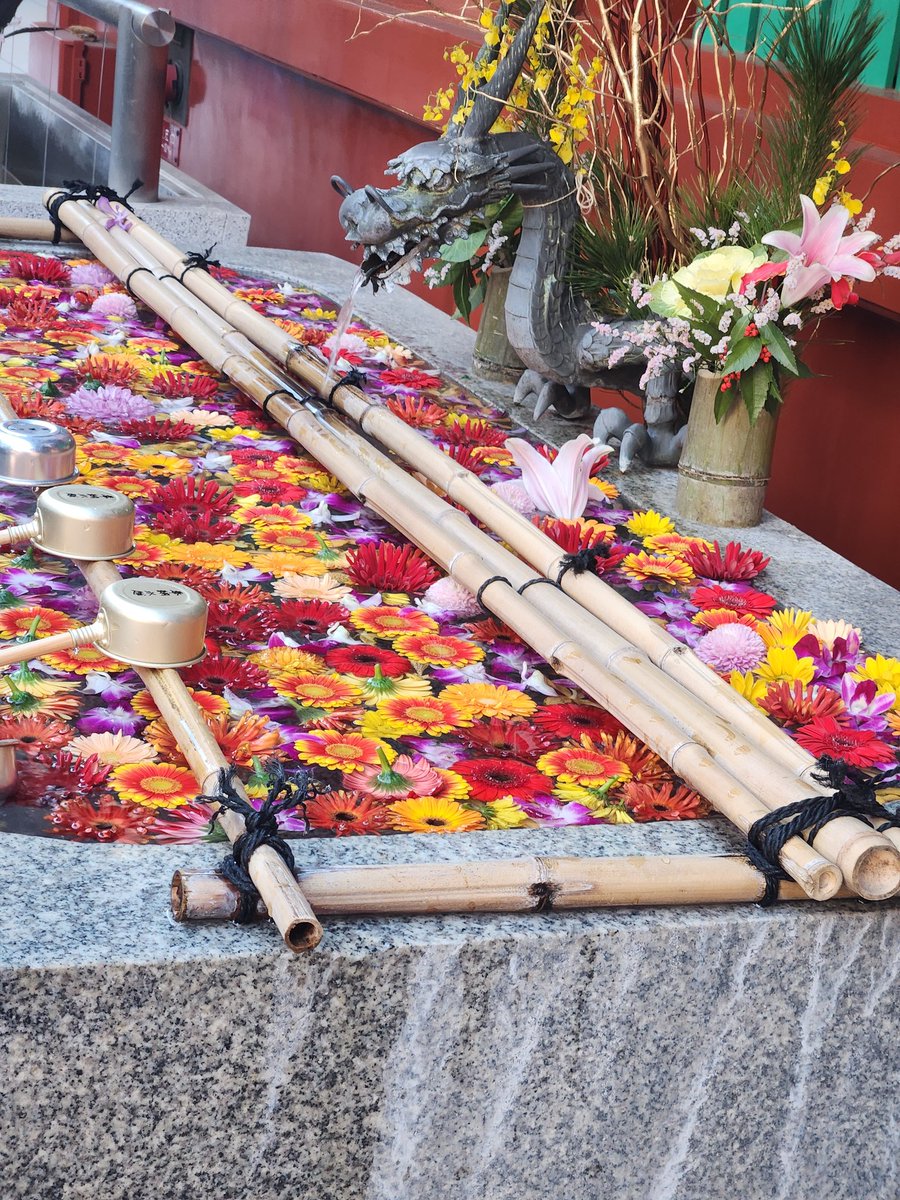 G___luck's tweet image. 本年もよろしくお願いします🌼生きてます