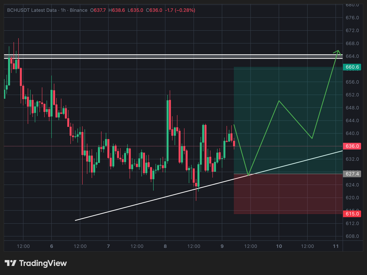 🚀 $BCH / USDT — LONG TRADE SIGNAL 🔥 Market Overview: $BCH 🔑 Key Levels  📌 Trade Setup: LONG 📍 Position Entry Zone: ➡️ 625 – 635 🎯 Take Profit  Targets: • TP1: 650 – 655 • TP2: 660 – 665 🛑 Stop Loss: ➡️ 612 – 615