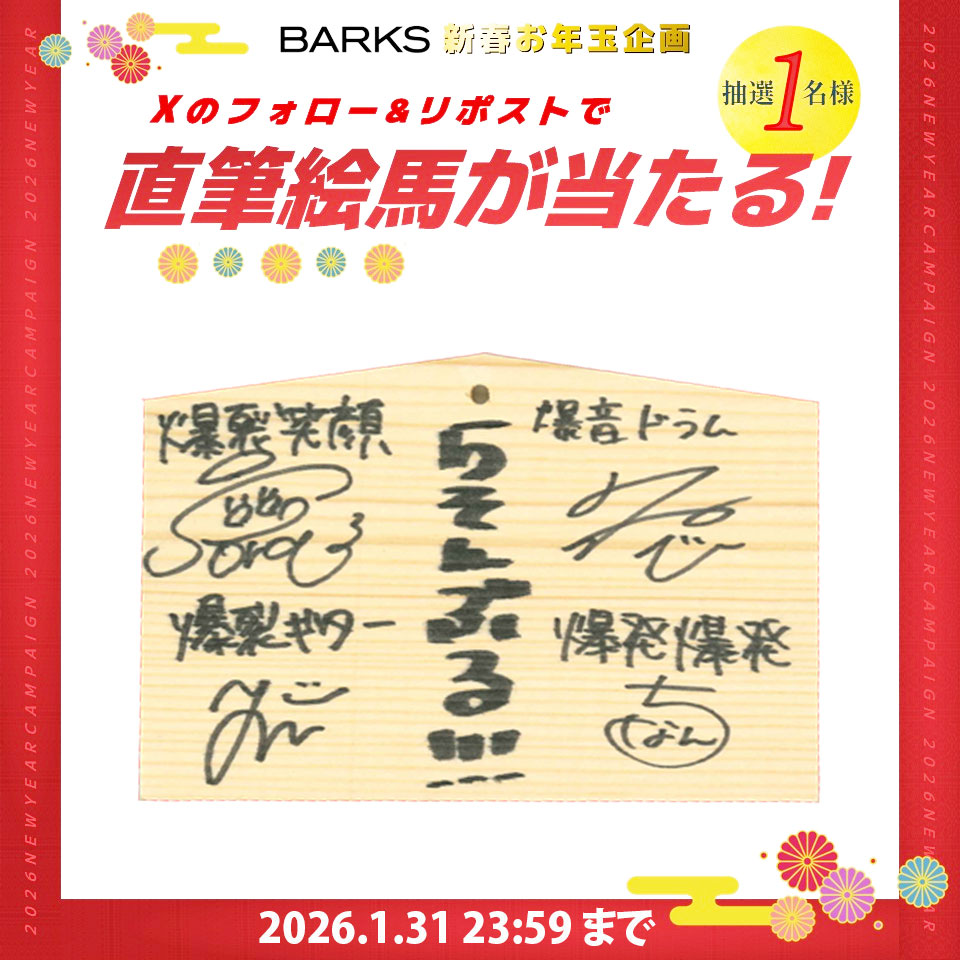 ＼✨ フォロー＆リポストで応募 ✨／
🎍【BARKS新春企画】🎍

「らそんぶる 2026年の抱負」
直筆絵馬プレゼント🎁
1月31日（土）23:59まで

① <a href="/barks_news/">BARKS編集部</a>をフォロー
② このポストをリポスト

応募詳細は下記
x.gd/DKJ1y

#らそんぶる  #BARKS