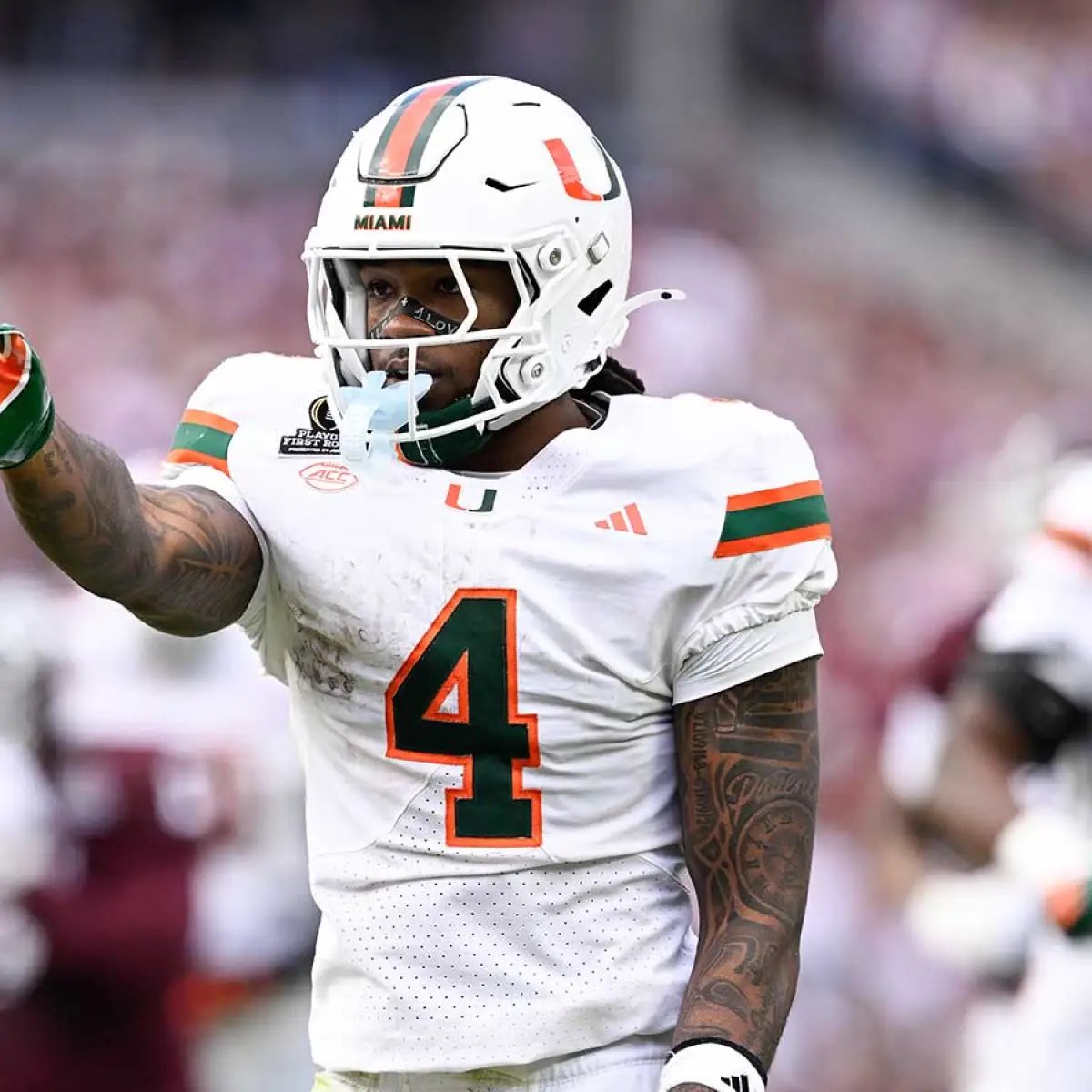 CanesMuse tweet media