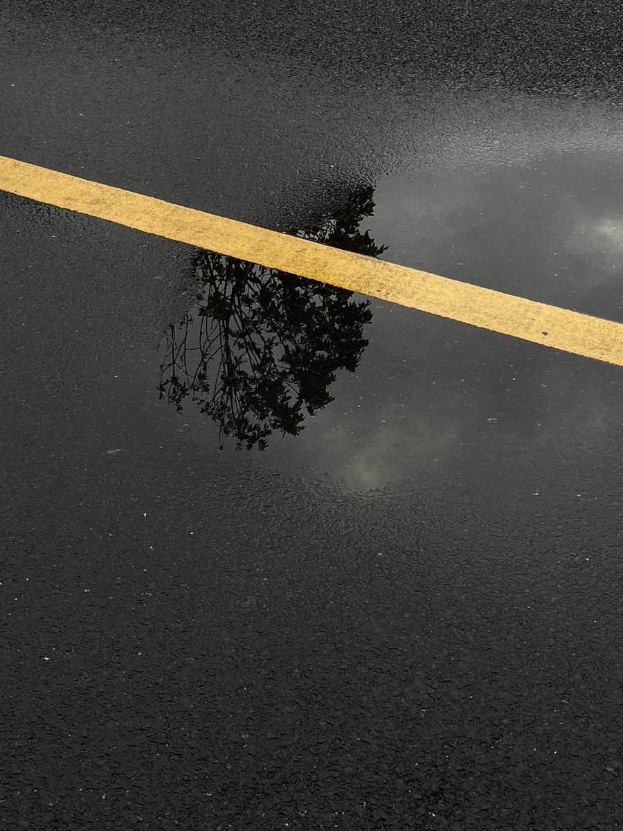 Terminstg's tweet image. Let the beautiful dreams begin. Goodnight