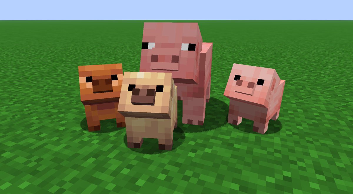 PhoenixSC / Hamish tweet media