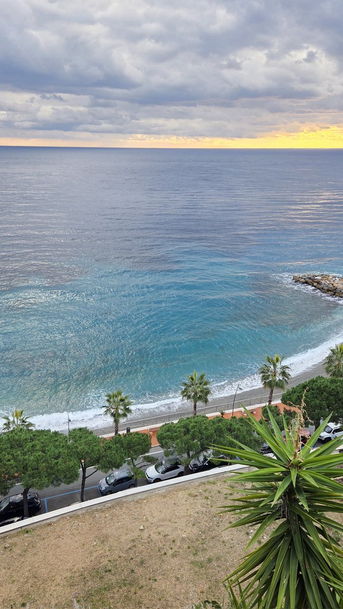 CappatoSimo's tweet image. Buongiorno, felice e splendido  venerdì  a tutti.🫠☕️🍰🦋🍀🌺