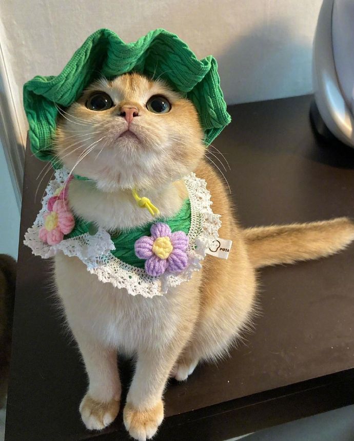 rlxtouch's tweet image. 